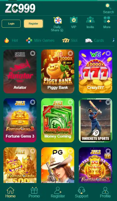 zc999 game
